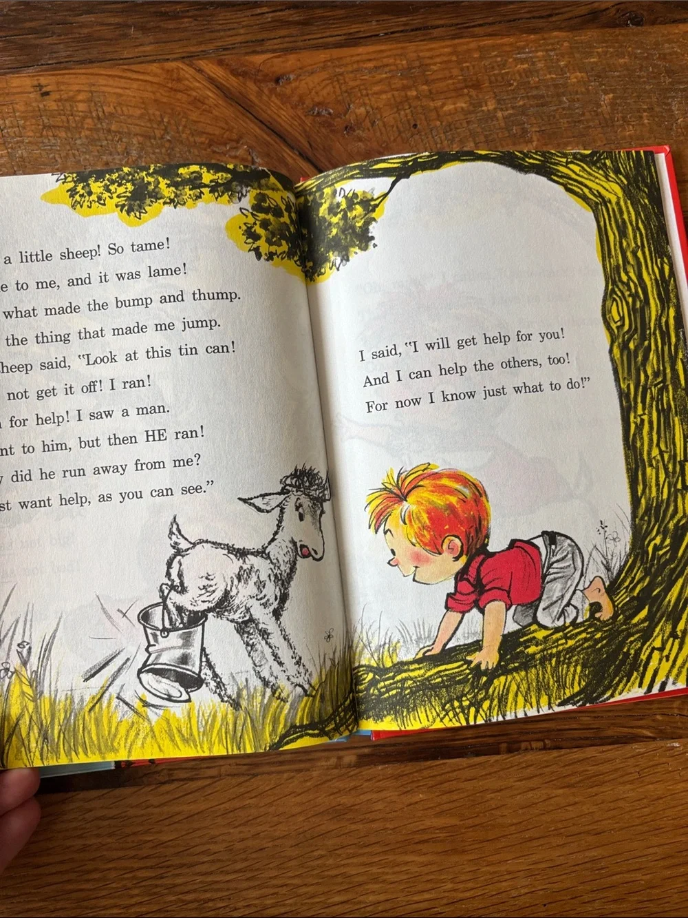 Dr. Seuss A Fly Went By Book - Blue, Yellow, Orange, Pink